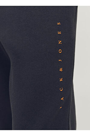 Jack Jones Regular Fit Lacivert Erkek Eşofman Altı 12248838