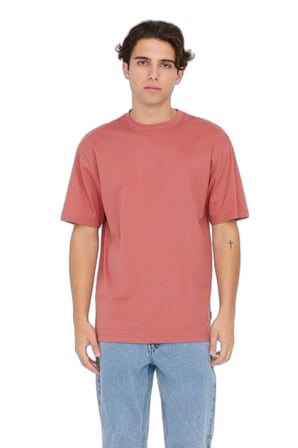 ONSFRED LIFE RLX SS TEE NOOS Erkek Kırmızı T-Shirt - 22022532