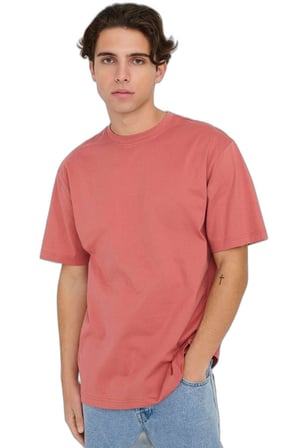 ONSFRED LIFE RLX SS TEE NOOS Erkek Kırmızı T-Shirt - 22022532