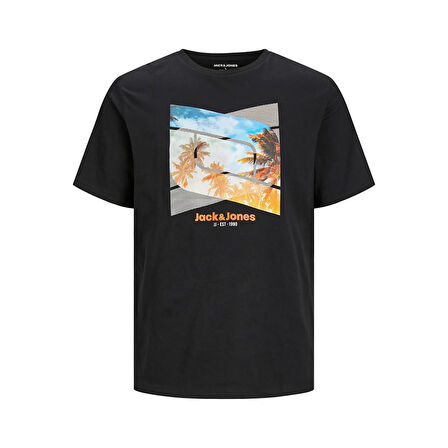 Jack & Jones Erkek T-Shirt 12247798