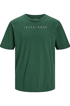 JACK&JONES JJSETRA TEE SS CREW NECK 12247985 YEŞİL