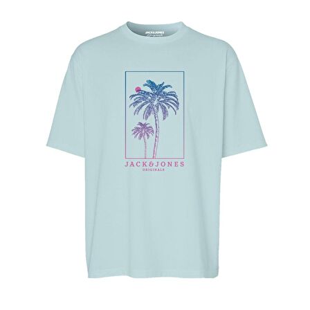 Jack Jones Tişört Lafayette Crew Neck 2