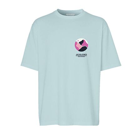 Jack Jones Tişört Lafayette Crew Neck 1
