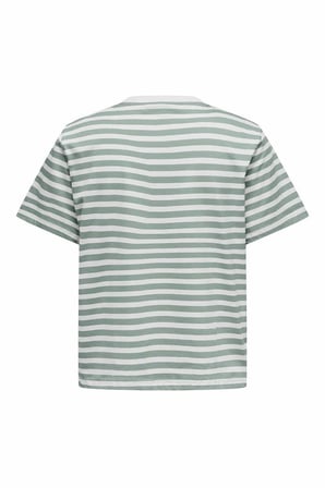 Only Lıvvına Çizgili Regular Fit Kadın Tişört 15272227