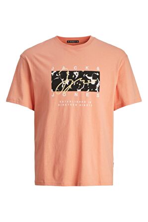 Jack & Jones Erkek Tişört 12255517