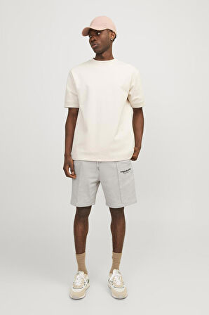 Jack & Jones Erkek Short 12252251
