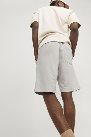 Jack & Jones Erkek Short 12252251