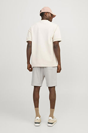 Jack & Jones Erkek Short 12252251