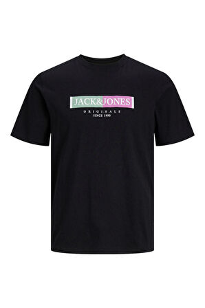 Jack & Jones Erkek Jorlafayette Baskı Detaylı Bisiklet Yaka %100 Pamuk T-Shirt 12252681 Siyah