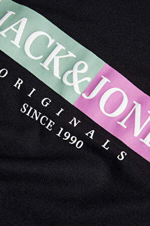 Jack & Jones Erkek Jorlafayette Baskı Detaylı Bisiklet Yaka %100 Pamuk T-Shirt 12252681 Siyah