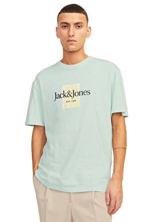 Jack & Jones Erkek Tişört 12250436