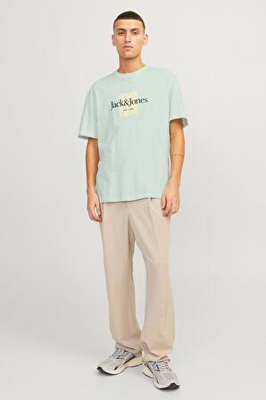 Jack & Jones Erkek Tişört 12250436