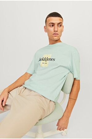 Jack & Jones Erkek Tişört 12250436