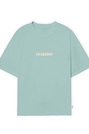 JACK&JONES  JORLAFAYETTE EMB TEE SS CREW NECK12251768 A.GRİ