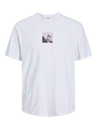 Jack Jones Erkek Pamuklu Beyaz Bisiklet Yaka Tişört 12253423