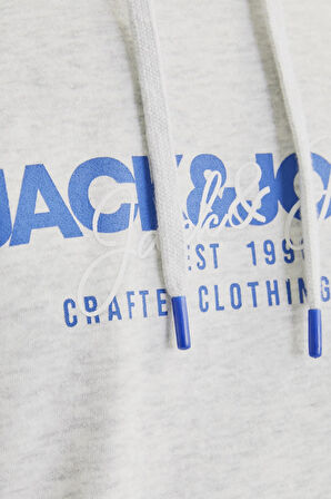 JJALVIS SWEAT HOOD BEYAZ12256848