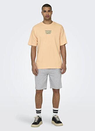 Only & Sons O Yaka Baskılı Pudra Erkek T-Shirt ONSKENNY RLX TEXT SS TEE