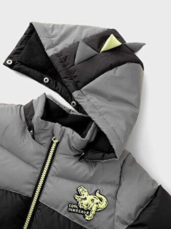 Name It Nmmmorten Dino Detail Erkek Çocuk Mont