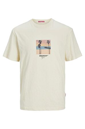 Jack & Jones Erkek Tişört 12255337
