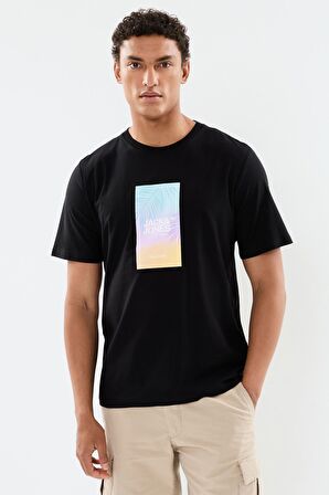 Jack & Jones Erkek Tişört 12255363