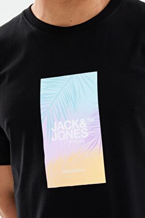 Jack & Jones Erkek Tişört 12255363