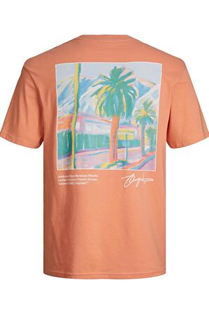 JACK&JONES JORARUBA LANDSCAPE TEE SS CREW NECK12255525 PUDRA