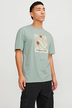 Jack & Jones Erkek Tişört 12256137