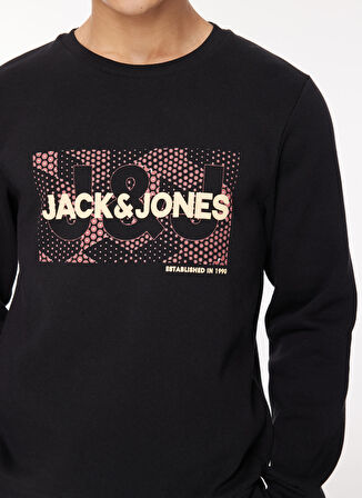 Jack & Jones Bisiklet Yaka Siyah Erkek Sweatshırt 12261183_JCOAREA SWEAT CREW EXC
