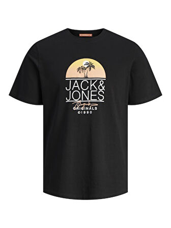 Jack Jones Erkek Jorcasey Tee Yuvarlak Yaka Siyah Tişört 12257130