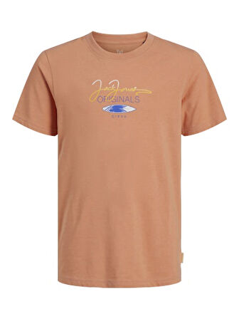Jack Jones Erkek Jorcasey Tee Yuvarlak Yaka Pembe Tişört 12257130