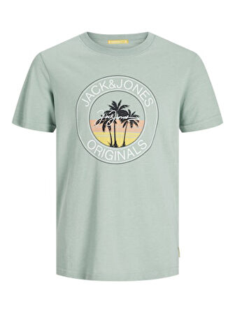 Jack Jones Erkek Jorcasey Tee Yuvarlak Yaka Mavi Tişört 12257130