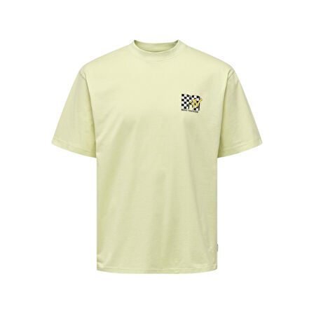 Erkek O Yaka T-shirt 22029523