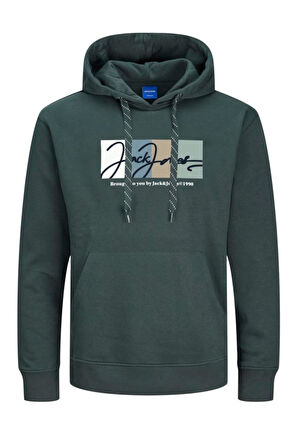 JORPORTLAND BLOCK SWEAT HOOD LN YEŞİL12262421 