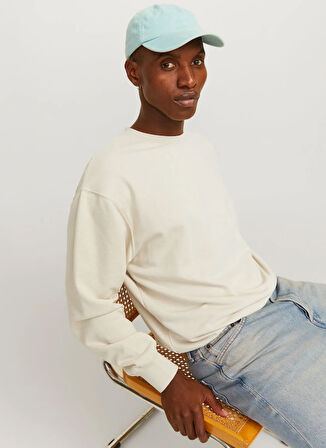Jack & Jones Bisiklet Yaka Bej Erkek Sweatshırt 12257853_JJECHARGE SWEAT CREW NECK