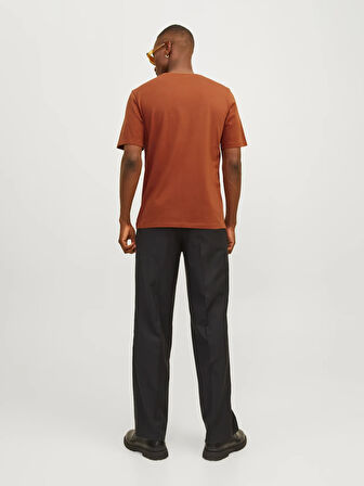 Erkek JJEORGANIC BASIC TEE SS O-NECK NOOS T-Shirt-Tarçın | M