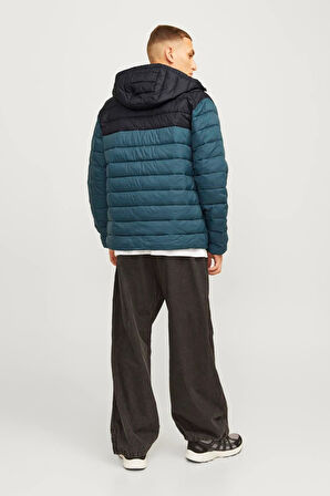 Jack & Jones Erkek Mont 12258441