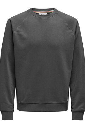 ONSMICHI LIFE REG CREW NECK SWEAT GRİ 22030618