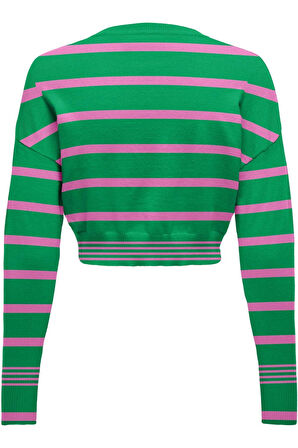 ONLIBI LS CROPPED PULLOVER CC KNT 