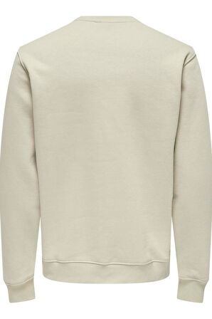 ONSCURATED REG CREW NECK SWEAT BEJ 22030923