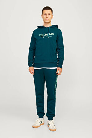 Jack & Jones Alvis Kapüşonlu Erkek Sweat 12256848