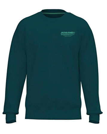 JJOLIVE SWEAT CREW NECK Deep Teal