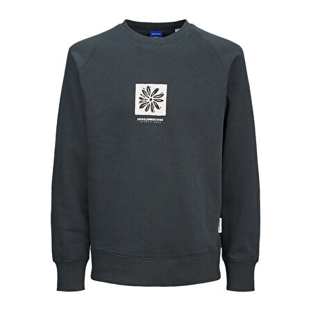 Jack & Jones Erkek Bisiklet Yaka Sweatshirt 12262958