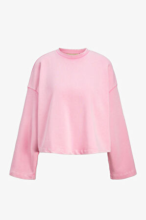 JJXX Jxelizabeth Loose Kadın Pembe Sweatshirt 12263614-Moonlite Mauve