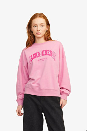 JJXX Jxava Kadın Pembe Sweatshirt 12264230-MoonliteMauve