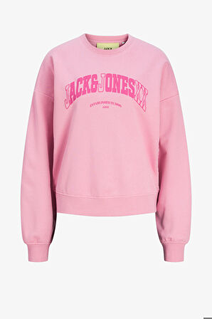 JJXX Jxava Kadın Pembe Sweatshirt 12264230-MoonliteMauve