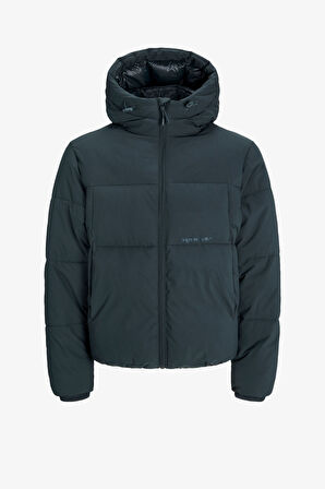 Jack & Jones Jorvesterbro Erkek Yeşil Mont 12260433-ForestRiver