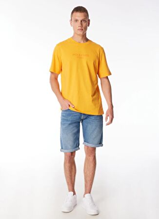 Jack & Jones Yuvarlak Yaka Turuncu Erkek T-Shirt JPRBLULOUI TEE SS CREW NECK EXC