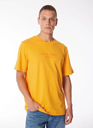 Jack & Jones Yuvarlak Yaka Turuncu Erkek T-Shirt JPRBLULOUI TEE SS CREW NECK EXC