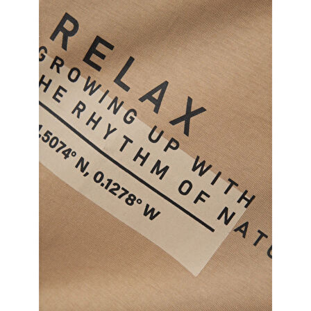 Erkek Çocuk Bisiklet Yaka T-shirt 13234022