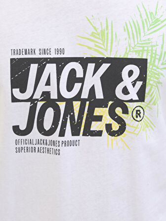 Jack & Jones Erkek Basic Tişört – %100 Pamuk, JJJAXON Modeli 